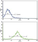 c-Kit Antibody in Flow Cytometry (Flow)