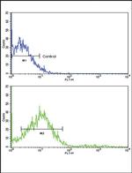 ROR2 Antibody in Flow Cytometry (Flow)