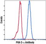 PKA alpha Antibody in Flow Cytometry (Flow)
