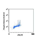 Phospho-Histone H3 (Ser10) Antibody in Flow Cytometry (Flow)