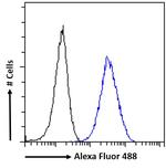 ARL2 Antibody in Flow Cytometry (Flow)