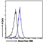 JWA Antibody in Flow Cytometry (Flow)