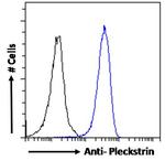 Pleckstrin Antibody in Flow Cytometry (Flow)