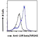 LXR beta Antibody in Flow Cytometry (Flow)