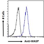 WASP Antibody in Flow Cytometry (Flow)