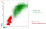 SCD Antibody in Flow Cytometry (Flow)