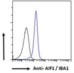 IBA1 Antibody in Flow Cytometry (Flow)