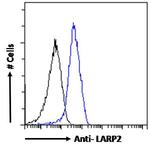 LARP2 Antibody in Flow Cytometry (Flow)