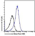 NR0B1 Antibody in Flow Cytometry (Flow)