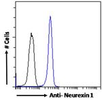 NRXN1 Antibody in Flow Cytometry (Flow)