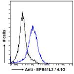 EPB41L2 Antibody in Flow Cytometry (Flow)