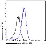 AIM2 Antibody in Flow Cytometry (Flow)