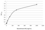 HN1 Antibody in ELISA (ELISA)