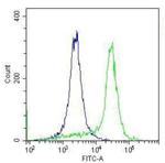 TLR4 Antibody in Flow Cytometry (Flow)