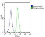 Angiopoietin 2 Antibody in Flow Cytometry (Flow)