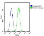 Fetuin A Antibody in Flow Cytometry (Flow)