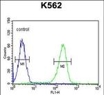 CXCR3 Antibody in Flow Cytometry (Flow)