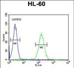 NOS1AP Antibody in Flow Cytometry (Flow)