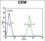 ATP8B2 Antibody in Flow Cytometry (Flow)