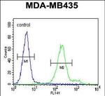 OR6V1 Antibody in Flow Cytometry (Flow)