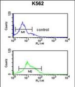 ZO-1 Antibody in Flow Cytometry (Flow)