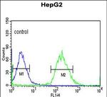 YME1L1 Antibody in Flow Cytometry (Flow)