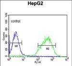 HIST1H2AG Antibody in Flow Cytometry (Flow)