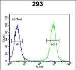 EPC2 Antibody in Flow Cytometry (Flow)