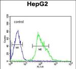 USP17 Antibody in Flow Cytometry (Flow)