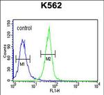 KRTAP1-1 Antibody in Flow Cytometry (Flow)