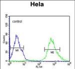 Importin 9 Antibody in Flow Cytometry (Flow)