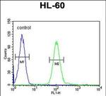 COQ7 Antibody in Flow Cytometry (Flow)