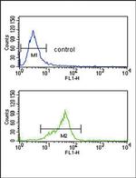 GNAO1 Antibody in Flow Cytometry (Flow)