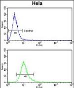 LPCAT1 Antibody in Flow Cytometry (Flow)