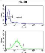 DDX17 Antibody in Flow Cytometry (Flow)