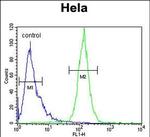 Cyclophilin C Antibody in Flow Cytometry (Flow)