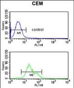 SLC39A8 Antibody in Flow Cytometry (Flow)