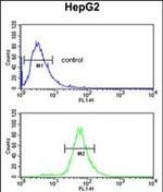 FBXL5 Antibody in Flow Cytometry (Flow)