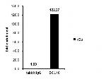 Bcl-10 Antibody in ChIP Assay (ChIP)