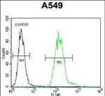 EAP2 Antibody in Flow Cytometry (Flow)