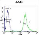 SLC25A6 Antibody in Flow Cytometry (Flow)