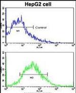 LGR5 Antibody in Flow Cytometry (Flow)