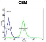 CD46 Antibody in Flow Cytometry (Flow)