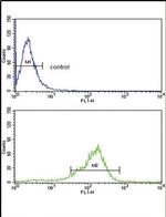 Thrombospondin 1 Antibody in Flow Cytometry (Flow)