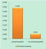 Phospho-IFNAR1 (Tyr466) Antibody in peptide-ELISA (pep-ELISA)