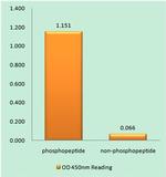 Phospho-S1P1 (Thr236) Antibody in peptide-ELISA (pep-ELISA)