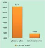 Phospho-NBS1 (Ser278) Antibody in peptide-ELISA (pep-ELISA)