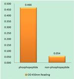 Phospho-Bax (Ser184) Antibody in peptide-ELISA (pep-ELISA)