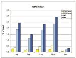 H3K64me3 Antibody in ChIP Assay (ChIP)