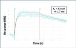 TOX2 Antibody in Surface plasmon resonance (SPR)